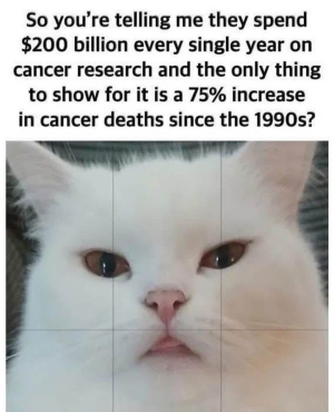 1760644204047.png