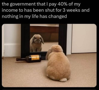 1760807774215.png