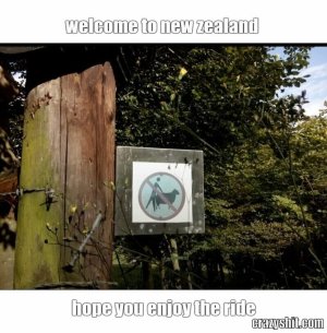 New zealand.jpg