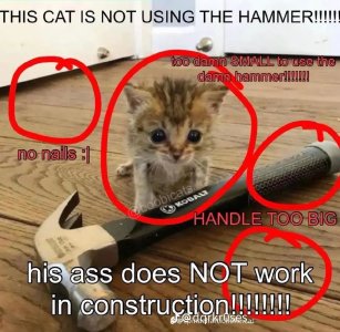 1761601279629.jpeg