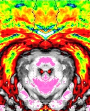 20251029_110117.jpg 20251029_110117.jpg