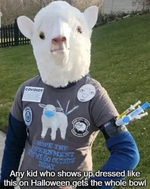 1762111152344.png 1762111152344.png