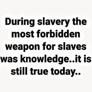 1762111356183.png 1762111356183.png