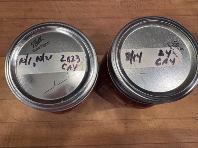 IMG_2830.jpeg IMG_2830.jpeg