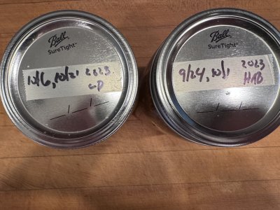 IMG_2831.jpeg IMG_2831.jpeg