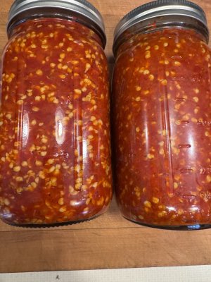 IMG_2833.jpeg IMG_2833.jpeg