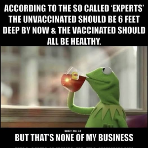 1764527348046.png 1764527348046.png