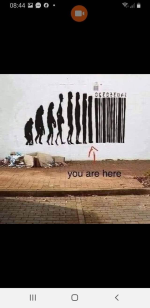 1765902833072.png 1765902833072.png