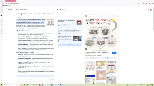 sorry not enough2.jpg