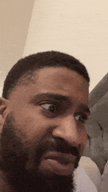 giphy-downsized (1).gif