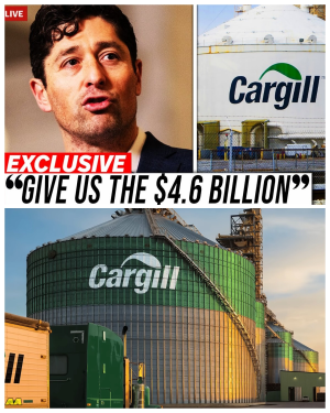 1769562681181.png 1769562681181.png