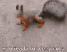 1772340636022.gif
