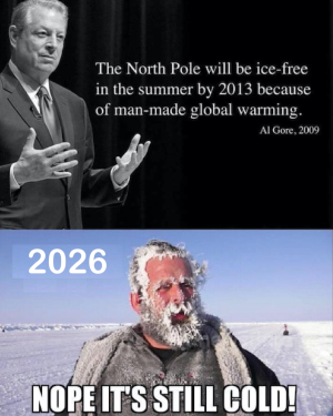 1774175509679.png