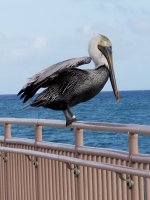 20201224_155647.jpg
