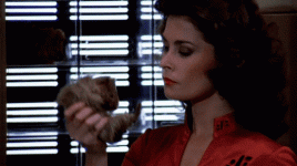 D6B3534A-17E6-4A58-AE93-504B93F67BFC.gif