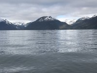 0574E606-70B3-4670-93C9-35DBA01E6ABE.jpeg