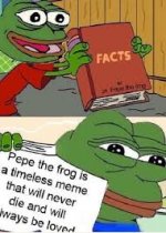 images (15).jpeg