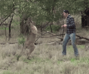 1623885784095.gif