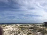 8D526505-49EE-479D-8F65-0798EE700ED8.jpeg