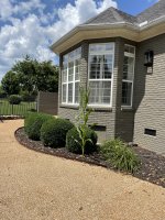 IMG_2450.jpg