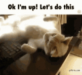 1625144830397.gif