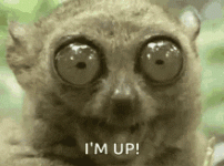 1625144893216.gif