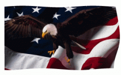281419258usa-american-flag-with-eagle-waving-animated-gif-2.gif