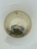 70B8732F-3C01-43D4-A19C-F369AE33A889.jpeg