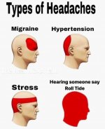 1628144052487.jpeg