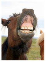 showTeeth.jpg
