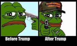 beforeTrumpafterTrumppepe.jpg