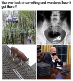 1629239981312.png