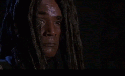 1629321658154.gif