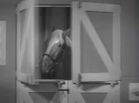 1629690348433.gif