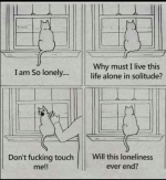 111.png