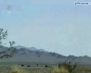 1630089786073.gif