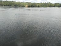 nile4.jpg