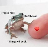 frog.jpg