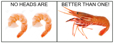 Shrimpheads.png
