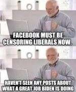 1631129321924.png
