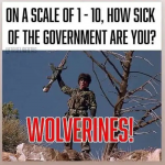 1631199957886.png