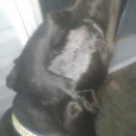 20210924_191119.jpg 20210924_191119.jpg