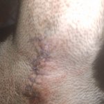 20210924_191146.jpg 20210924_191146.jpg