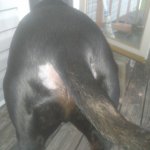 20210924_191205.jpg 20210924_191205.jpg