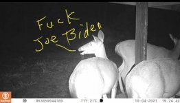 000A0CF8-FD9F-4BF9-B7E7-AF7902C4799D.jpeg 000A0CF8-FD9F-4BF9-B7E7-AF7902C4799D.jpeg