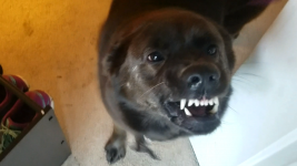 20171127_075008.png 20171127_075008.png