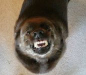 20211005_061155.jpg 20211005_061155.jpg