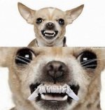 559E8885-54E8-4E59-8FCF-62A515EF5DFD.jpeg 559E8885-54E8-4E59-8FCF-62A515EF5DFD.jpeg