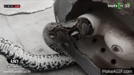 xTL4hF.gif xTL4hF.gif