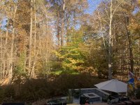 DA54CD95-4DF6-4E79-9086-59A5202B48AC.jpeg DA54CD95-4DF6-4E79-9086-59A5202B48AC.jpeg